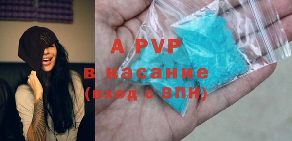 твердый Инсар