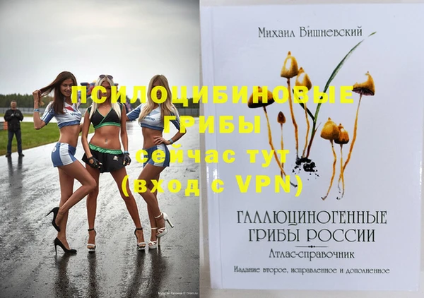 МДПВ Иннополис