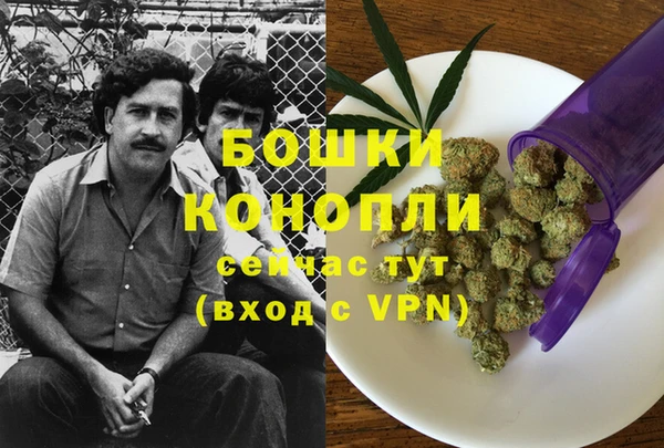 хмурый Инта