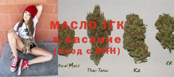 твердый Инсар