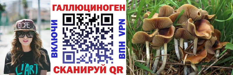 ссылка на мегу сайт Орехово-Зуево Псилоцибиновые грибы GOLDEN TEACHER
